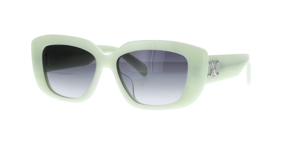 CELINE Triomphe CL40216U Square
